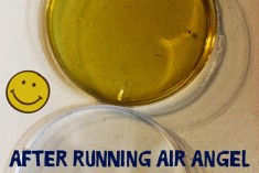 Portable Air Cleaner for Allergy Sufferers