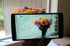 LG G4 camera is like my DSLR when using the manual setting. LOVE IT! #SprintMom #MoveForward #IC #ad
