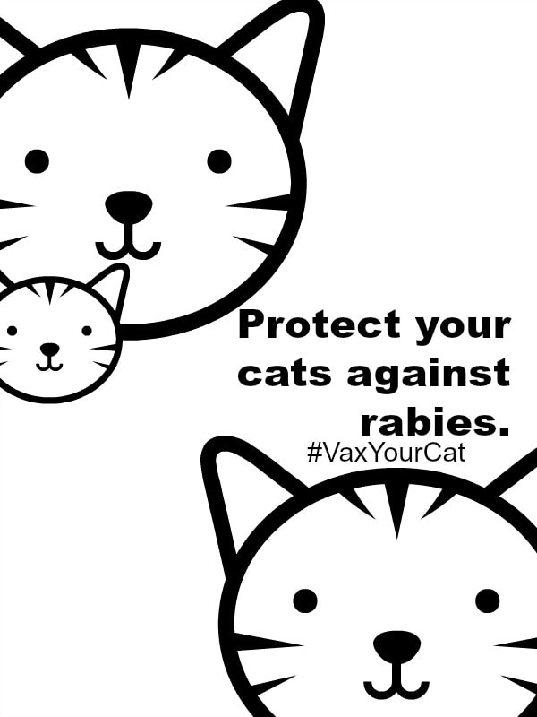 Keep your pets safe, happy and healthy. #VaxYourCat #sponsored