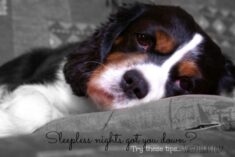 If you've tried everything and still can't sleep, there's hope. #IC #ad