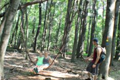 Fun vine swing in the Allegheny Mountains #MFRoadTrip