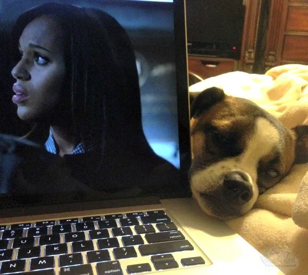 Watching a show on my laptop with my dog. 