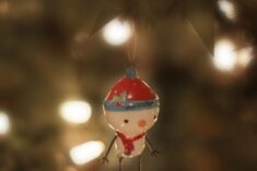 Holiday Ultimate Rewards into Summer Projects
