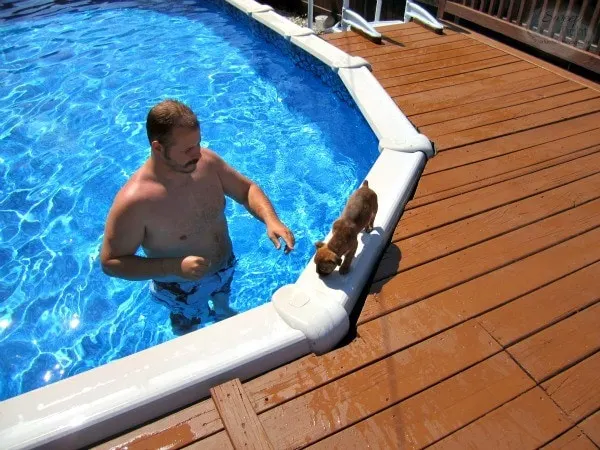 Our pool when the deck was nice