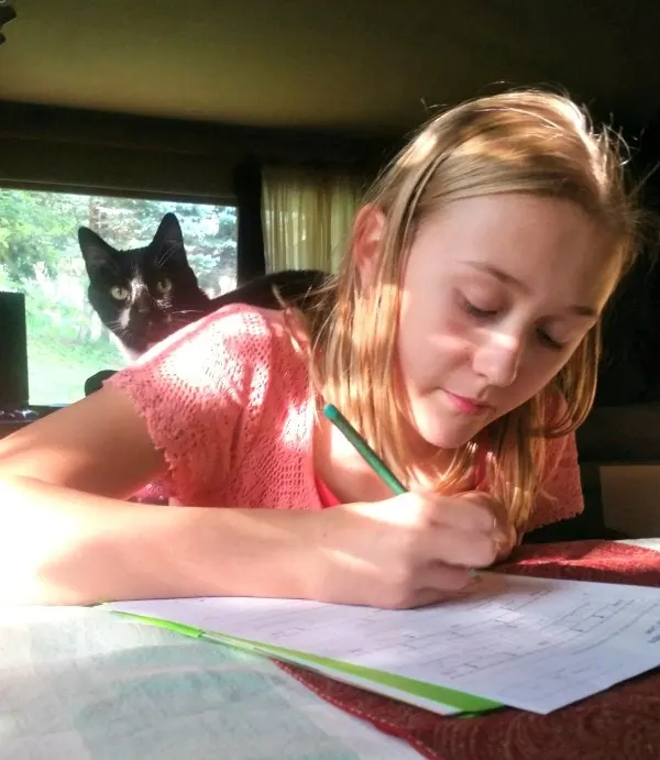 funny cat tutor