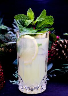 Lemonade Mint Cheer Holiday Cocktail Recipe | A Magical Mess