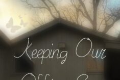7 Eco Friendly Ways we are Keeping Our Office Greener