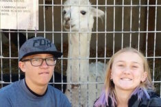 We love alpacas! Check out SOL ALPACA's new online store! #SolAlpaca #FeelWarmer ad