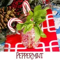 Ginger Beer Cocktails - Peppermint Ginger Sparkle Recipe