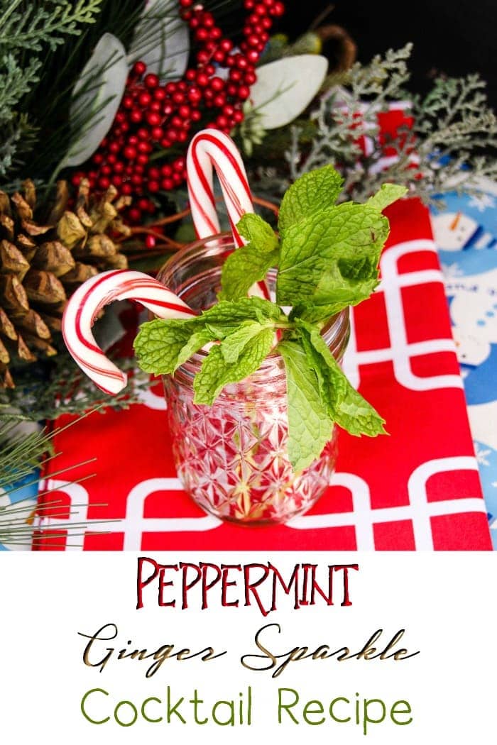 Ginger Beer Cocktails - Peppermint Ginger Sparkle Recipe