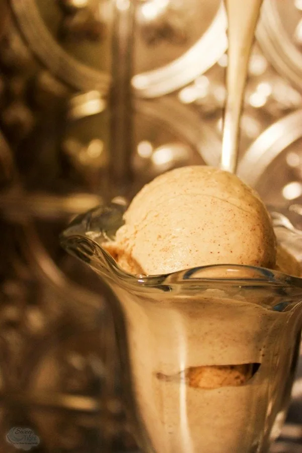 Cinnamon Ice Cream. 