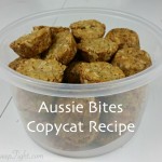 Aussie Bites Copycat Recipe - the best high energy snacks!