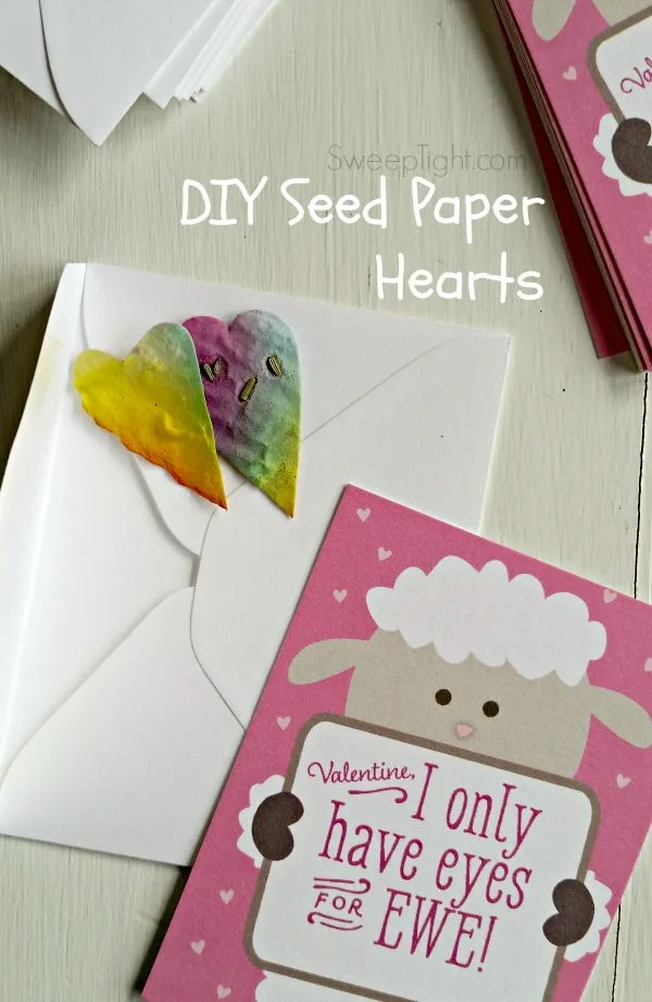 heart seed paper with a Valentine's day card