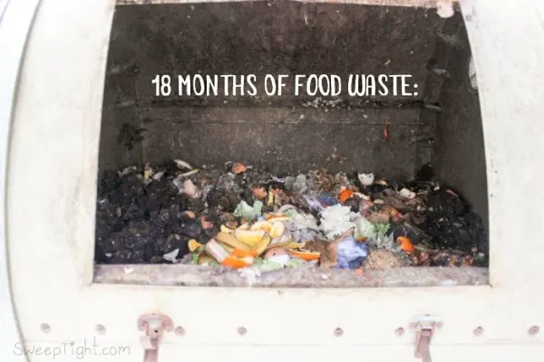 This is what 18 months of food waste looks like! I thought it would be so much more! How to make Compost at Home and Why Everyone Should
