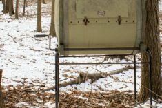 Kitchen compost container and outdoor compost tumbler - How to make compost at home and why everyone should