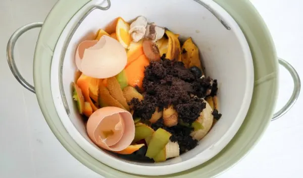Compost contents - how to make compost at home and why