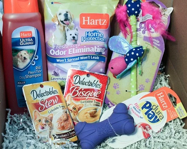 Pet Care Package - Loving Surprise for Pets and Their Humans