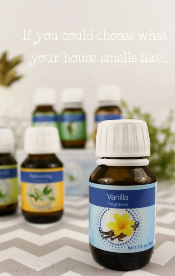 The best Essential Oils for a Humidifier 