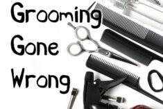 Signs you Have the Excessive Grooming Gene