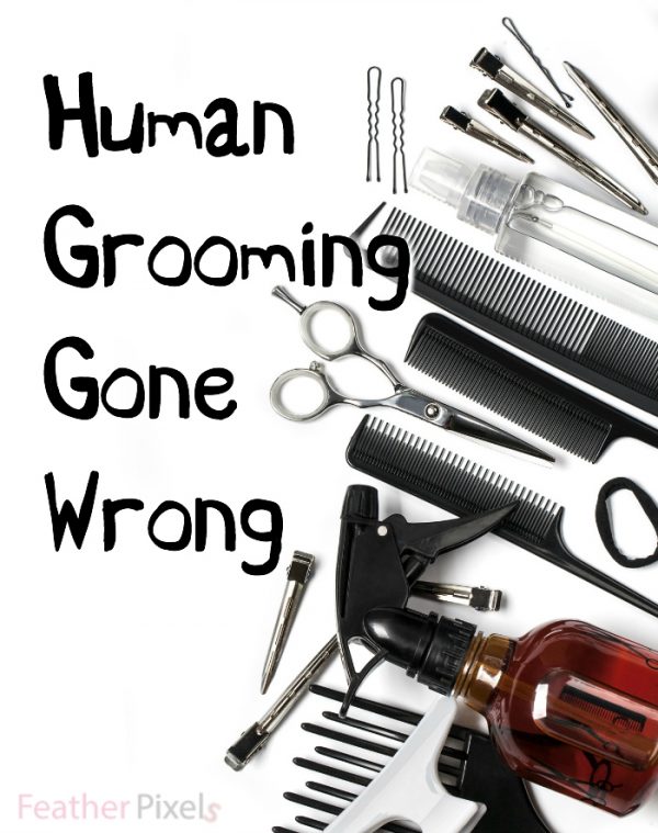 Signs you Have the Excessive Grooming Gene