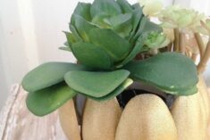 Plastic Spoon Craft - Easy Upcycled Lotus Planter