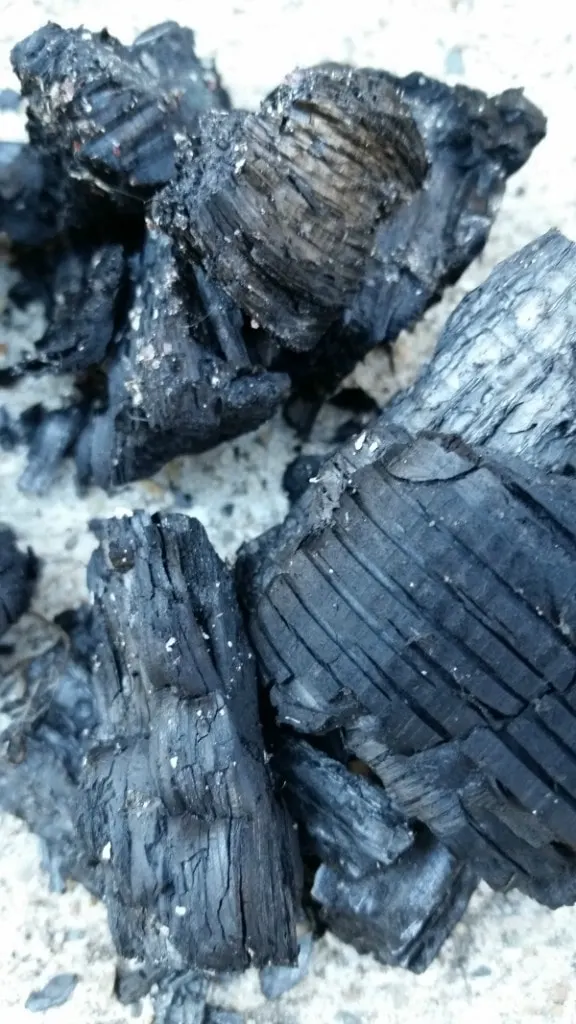 How to make Biochar for your garden soil