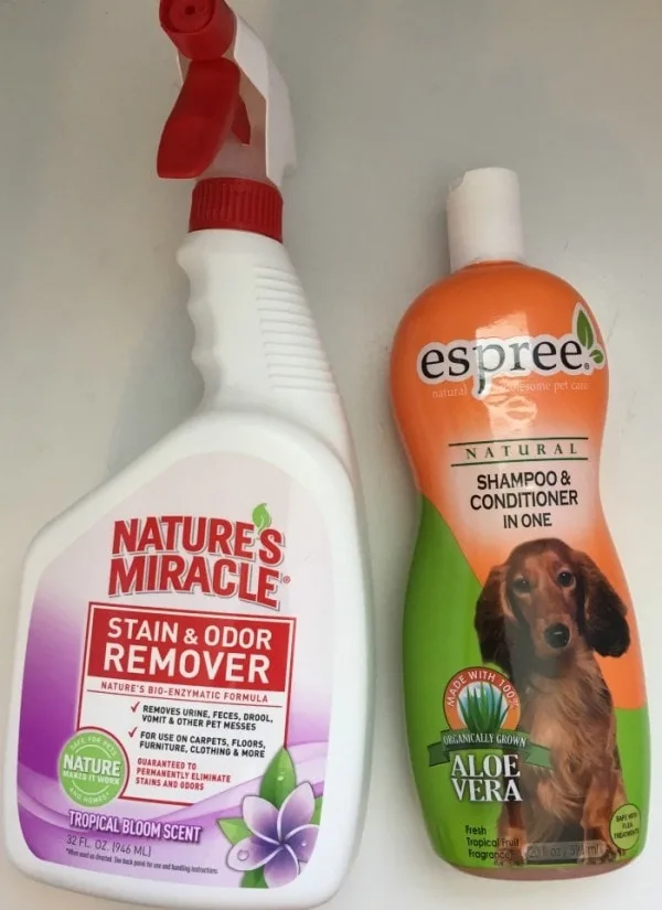 Pet Spring Cleaning Tips for Our Lovable Dirty Dogs 