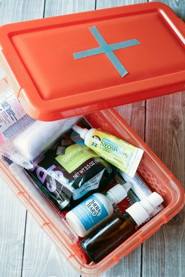 Diy Dog First Aid Kits For Adventurous Pets A Magical Mess - Diy First Aid Kit For College