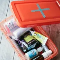 DIY Dog First Aid Kits - A Must for Adventurous Pets