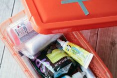 DIY Dog First Aid Kits - A Must for Adventurous Pets
