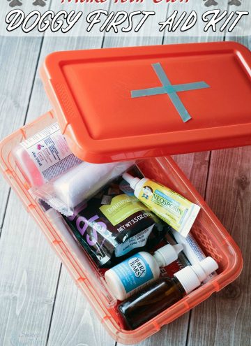 DIY Dog First Aid Kits - A Must for Adventurous Pets