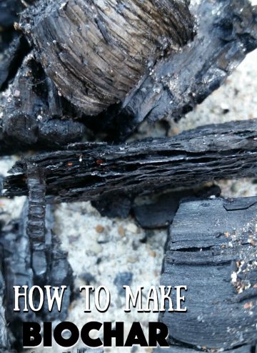 How to make Biochar for your garden soil