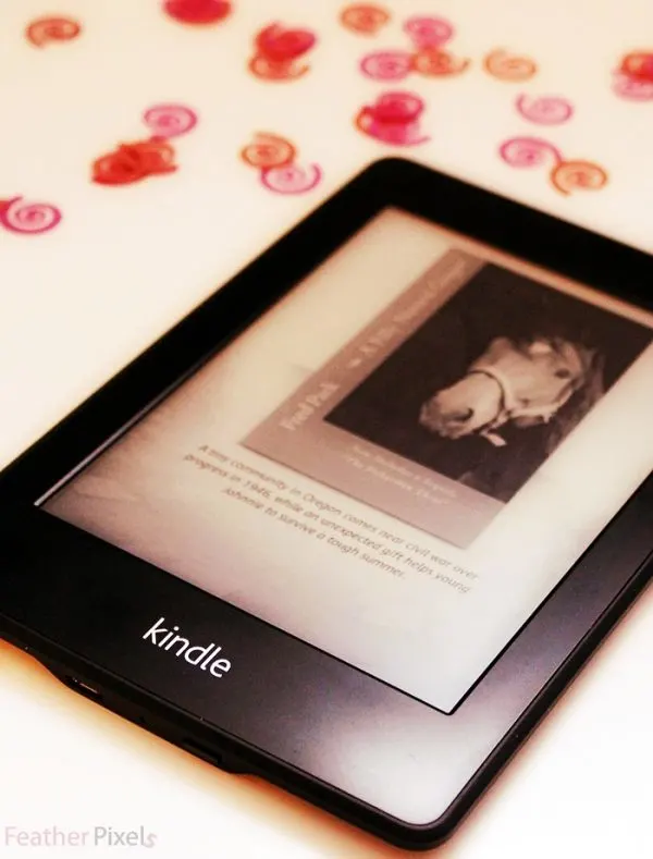 My Kindle Unlimited Account - A Love Story