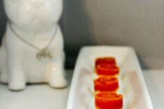 Pumpkin Yogurt Easy Frozen Dog Treats Recipe