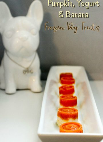 Pumpkin Yogurt Easy Frozen Dog Treats Recipe