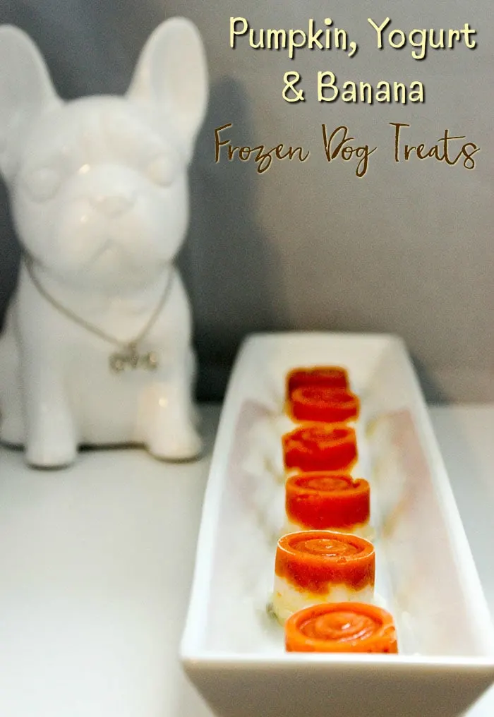 Frozen Pumpkin Dog Treat Recipe - Staying Close To Home