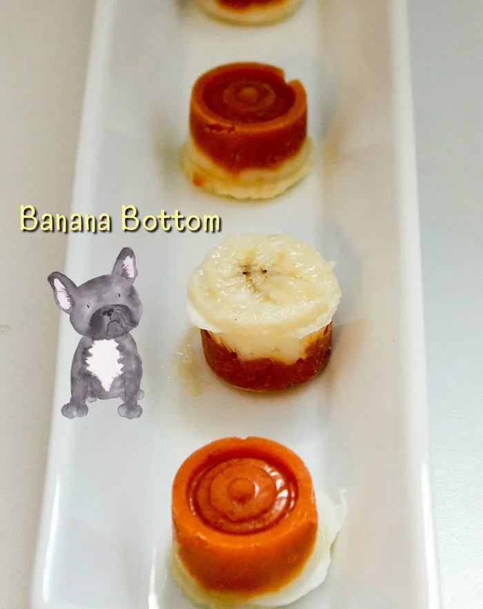Pumpkin yogurt frozen dog treats with banana bottom.