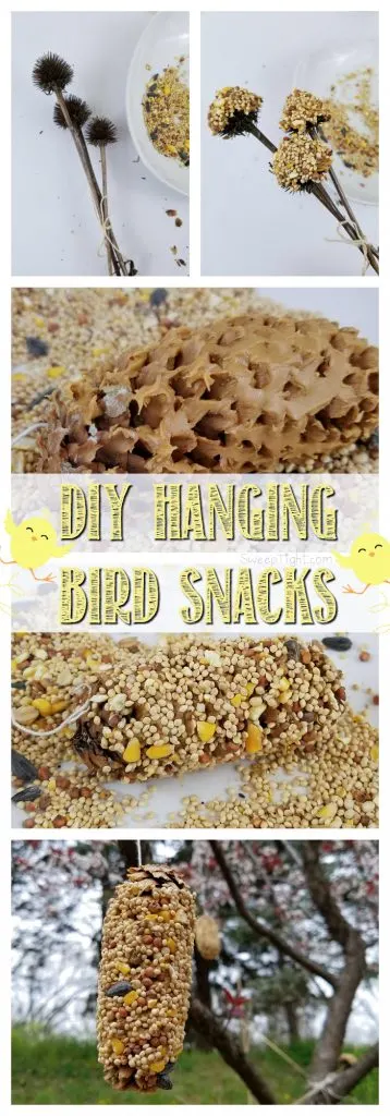 DIY Hanging Bird Snacks using Pine Cones - Earth Day Activities kids love for any day! 