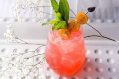 Raspberry and Orange Screwdriver Drink Recipe