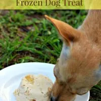 Frozen Banana and Peanut Butter Dog Treat Recipe