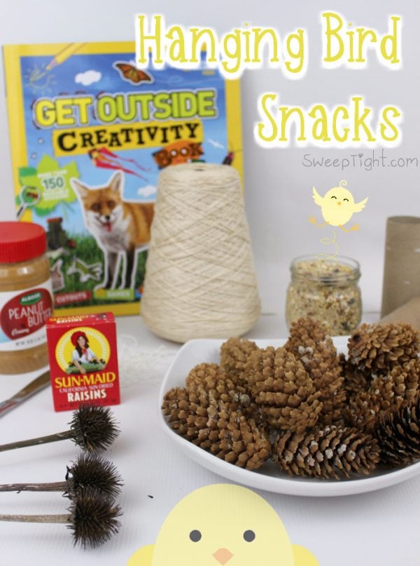 DIY Hanging Bird Snacks using Pine Cones - Earth Day Activities kids love for any day! 