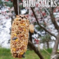 DIY Hanging Bird Snacks using Pine Cones - Earth Day Activities kids love for any day!