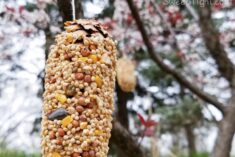 DIY Hanging Bird Snacks using Pine Cones - Earth Day Activities kids love for any day!