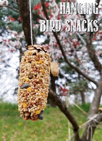 DIY Hanging Bird Snacks using Pine Cones - Earth Day Activities kids love for any day!