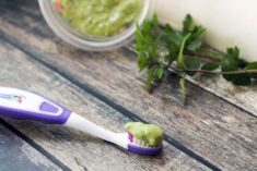 Minty Fresh Homemade Dog Toothpaste Recipe