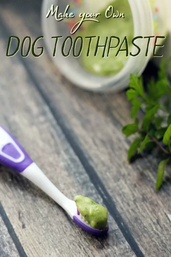Minty Fresh Homemade Dog Toothpaste Recipe