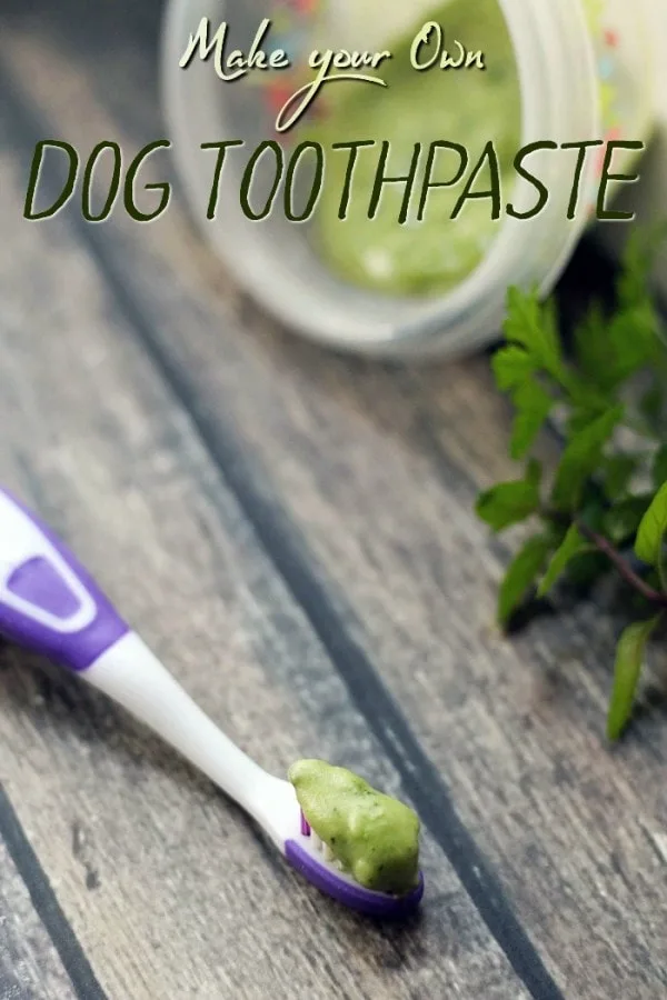 Safe homemade dog sales toothpaste