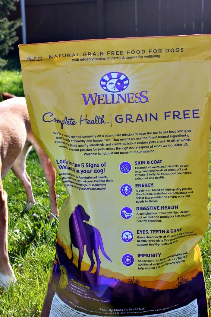 Wellness Grain Free Dog Food for a More Playful Grump #GrainFreeForMe