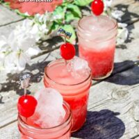 Lemonade Tart Cherry Juice Cocktail Recipe