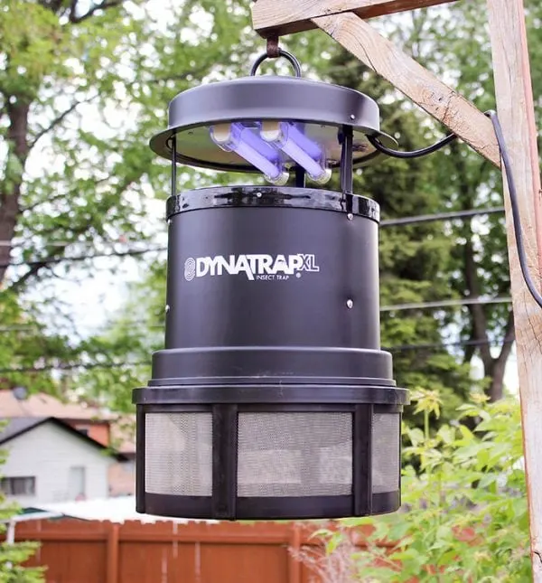 DYNATRAP Insect Trap to Reclaim Your Yard